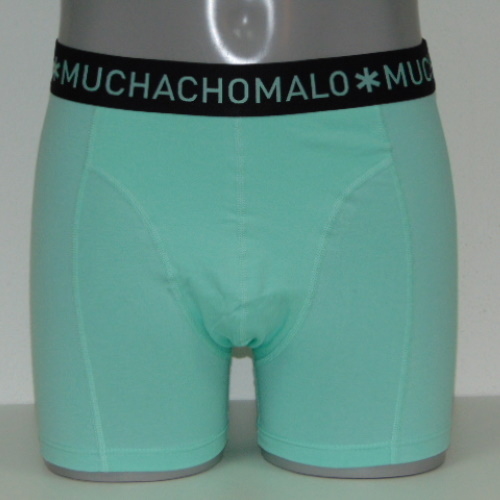 Muchachomalo Solid  mint boxer