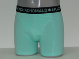 Muchachomalo Solid  mint boxer