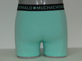 Muchachomalo Solid  mint boxer