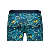 Battre mon boxeur Toucan Jungle bleu/print boxer