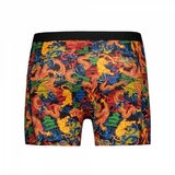 Battre mon boxeur Dragon multicolore/print boxer