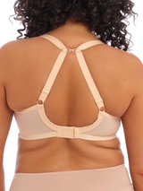 Elomi Bijou sable soutien-gorge rembourré