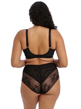 Elomi Kendra noir soutien-gorge rembourré